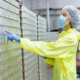 Quality Control Worker Inspecting Stacked Canned Fish Products